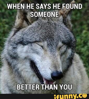 When He Says He Found Someone Funny Wolf Meme Image
