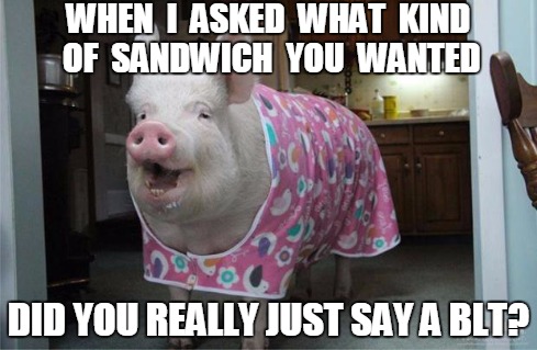 When I Asked What Kind Of Sandwich You Wanted Funny Pig Meme Picture