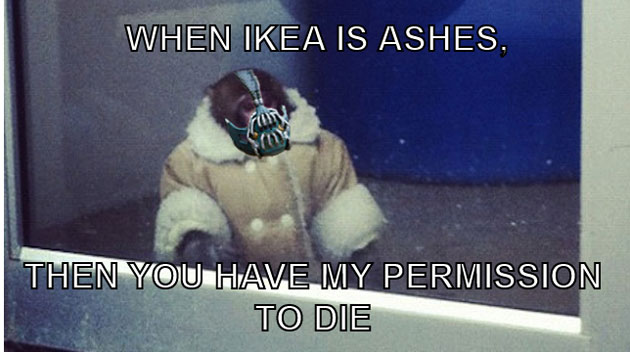 When Ikea Is Ashes Funny Monkey Meme Picture