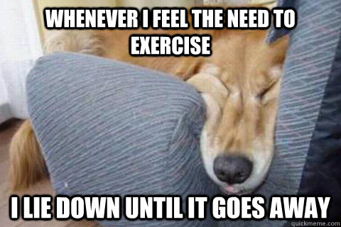 Whenever I Feel The Need To Exercise Funny Lazy Meme Photo