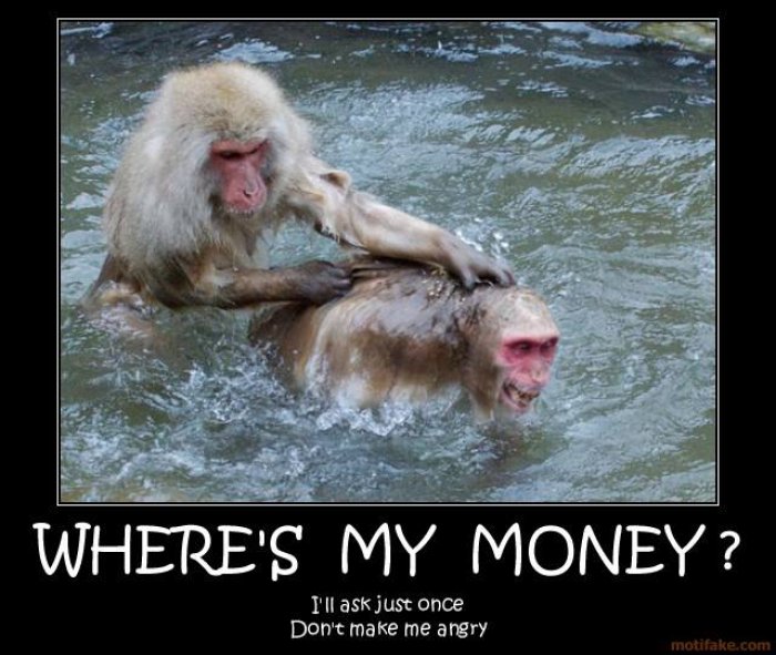 Where's My Money Funny Monkey Meme Poster For Whatsapp
