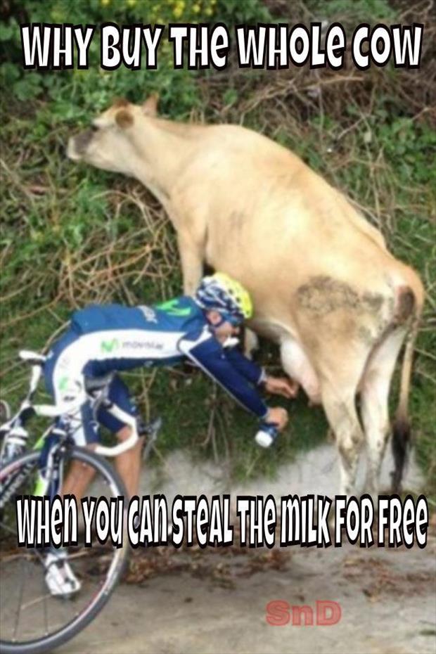 Why Buy The Whole Cow When You Can Steal The Milk For Free Funny Cow Meme Picture For Facebook