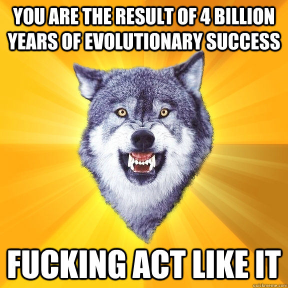 You Are The Result Of 4 Billion Years Of Evolutionary Success Funny Wolf Meme Image