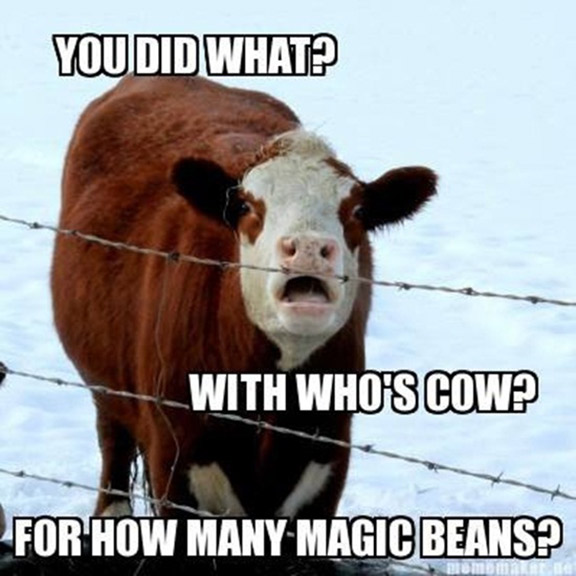 You Did What With Who's Cow For How Many Magic Beans Funny Cow Meme Image
