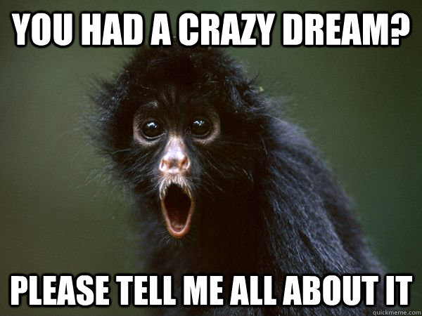 You Had A Crazy Dream Please Tell Me All About It Funny Monkey Meme Picture