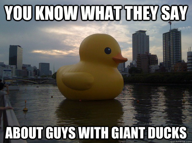 You Know What They Say About Guys With Giant Ducks Funny Meme Image