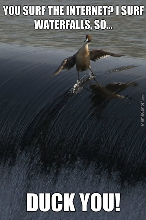 You Surf The Internet I Surf Waterfalls So Duck You Funny Duck Meme Picture