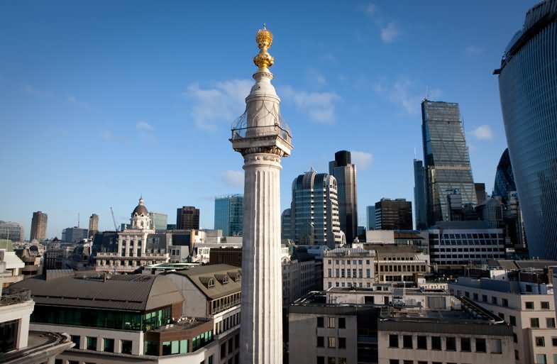 Adorable Monument To The Great Fire of London Picture