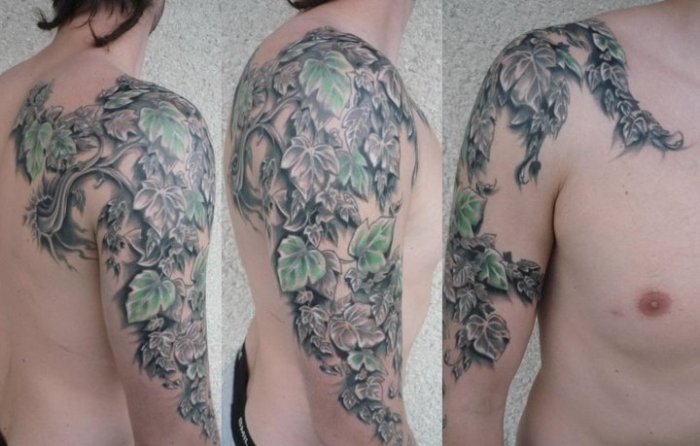 Attractive Ivy Vine Tattoo On Man Right Half Sleeve
