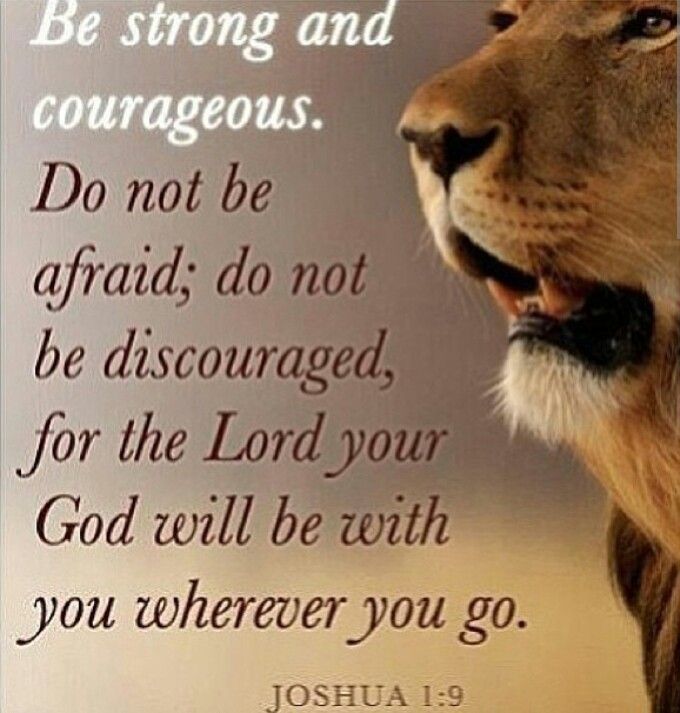 Be strong and courageous. Do not be afraid; do not be discouraged, for the LORD your God will be with you wherever you.