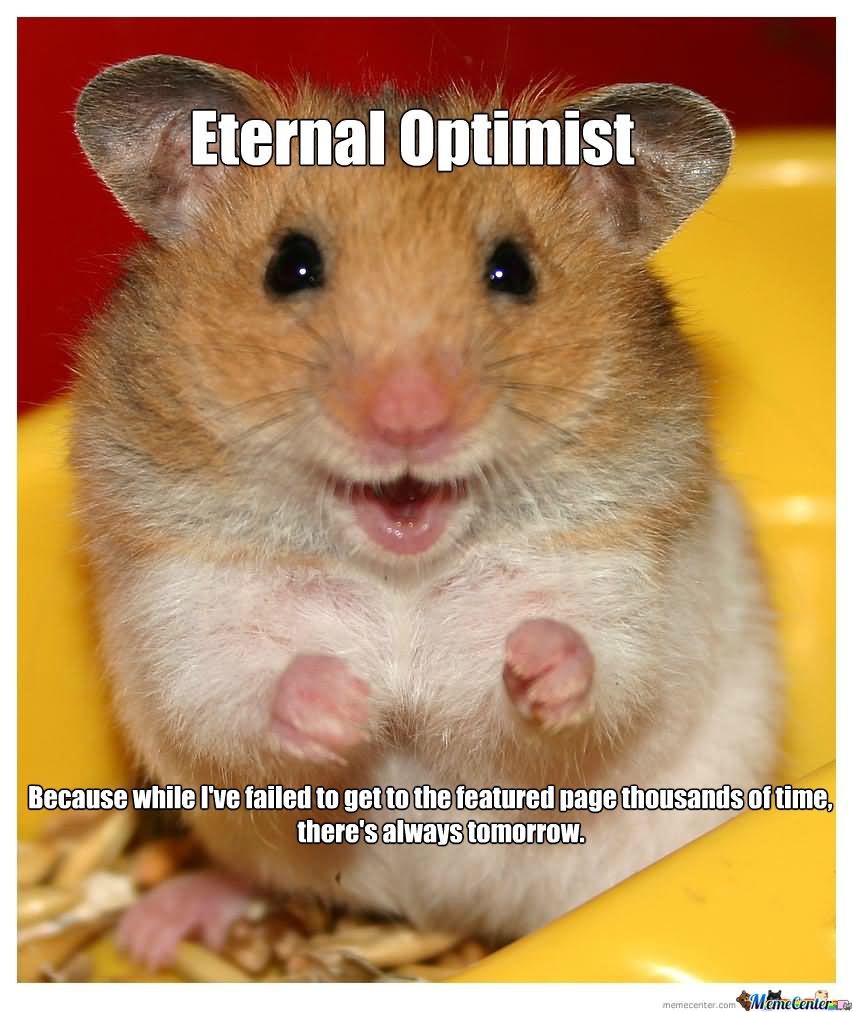 Because While I Have Failed To Get The Featured Page Thousands Of Time There's Always Tomorrow Funny Hamster Meme Image