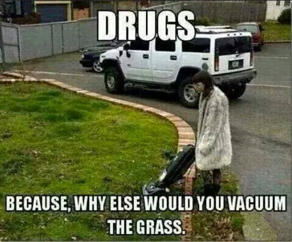 Because Why Else Would You Vacuum The Grass Funny Drugs Meme Picture