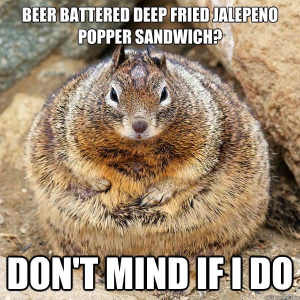 Beer Battered Deep Fried Jalepeno Popper Sandwich Funny Squirrel Meme Image