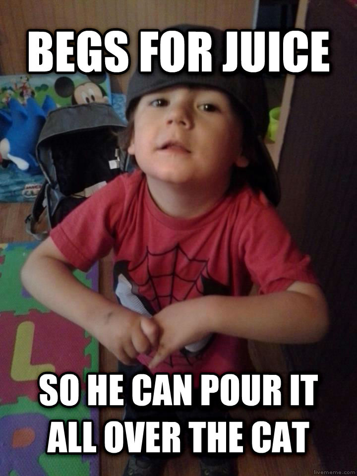 Begs For Juice So He Can Pour It All Over The Cat Funny Children Meme Picture