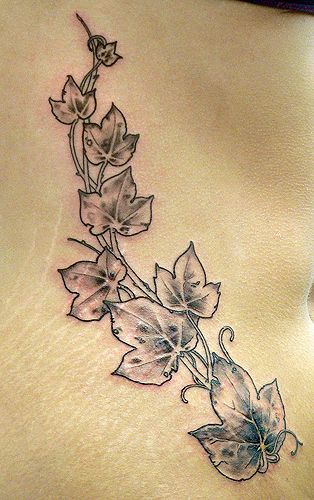 Black And Grey Ivy Vine Tattoo Design