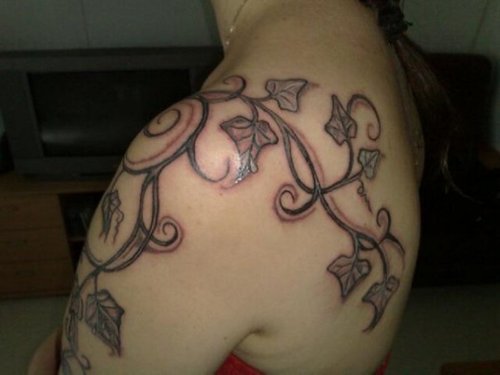 Black And Grey Ivy Vine Tattoo On Left Shoulder