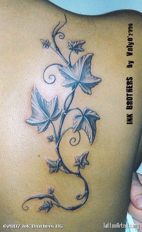 Black And White Ivy Vine Tattoo On Right Back Shoulder