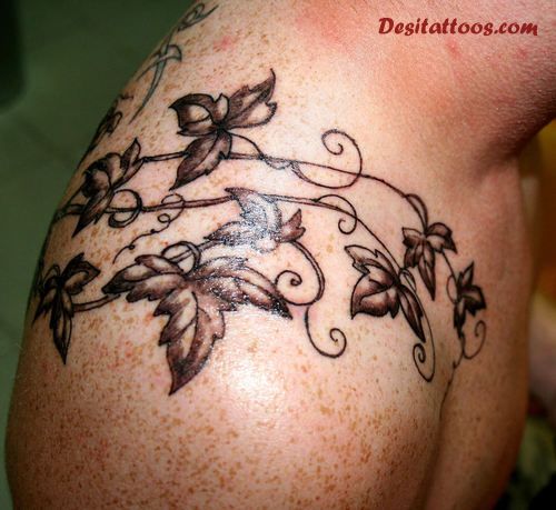 Black Ink Ivy Vine Tattoo On Right Upper Shoulder