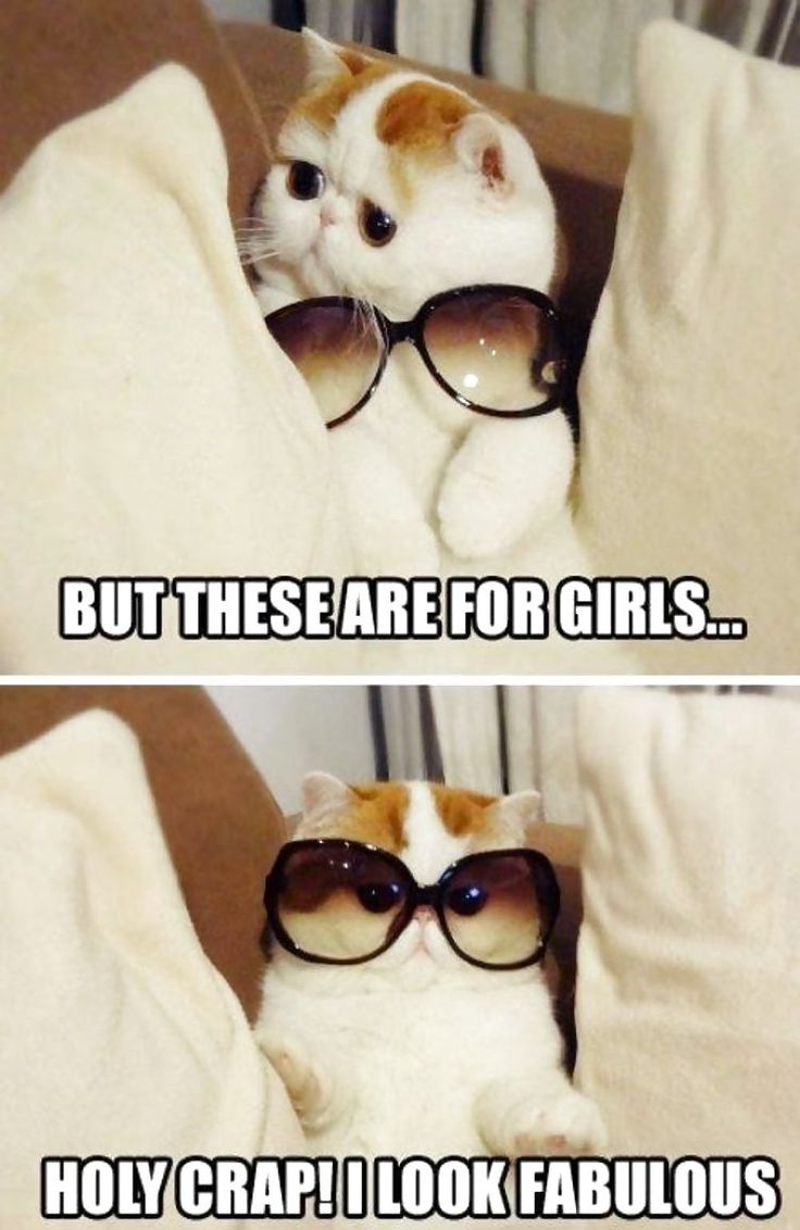 But These Are For Girls Funny Glasses Meme Picture