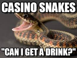 Casino Snakes Can I Get A Drink Funny Meme Image