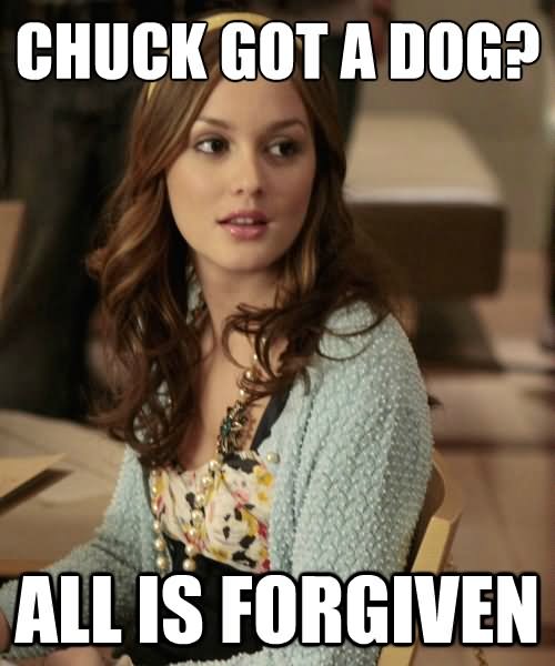 Chuck Got A Dog All Is Forgiven Funny Girl Meme Picture