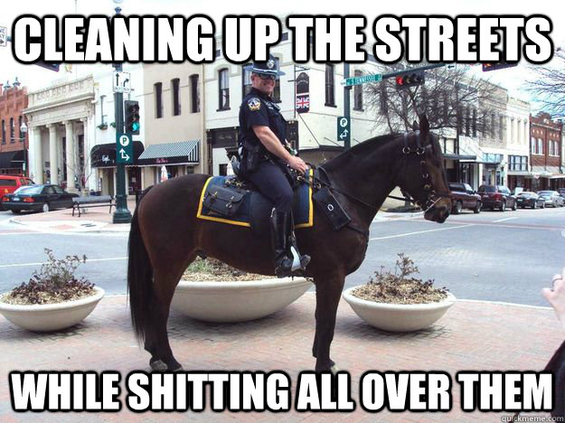 Cleaning Up The Streets While Shitting All Over Them Funny Cop Meme Picture