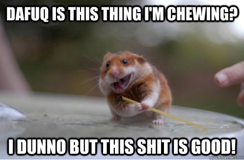 Dafq Is This Thing I Am Chewing I Dunno But This Shit Is Good Funny Hamster Meme Image