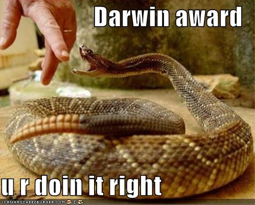 Darwin Award U R Doin It Right Funny Snake Meme Picture