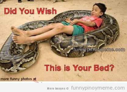 Did You Wish This Is Your Bed Funny Snake Meme Picture