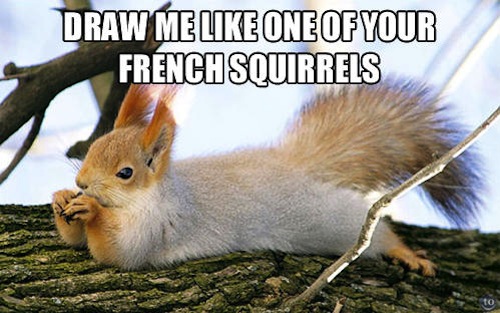 Draw Me Like One Of Your French Squirrels Funny Meme Image