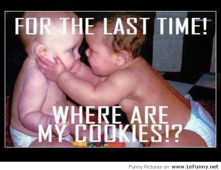 For The Last Time Where Are My Cookies Funny Meme Picture For Whatsapp