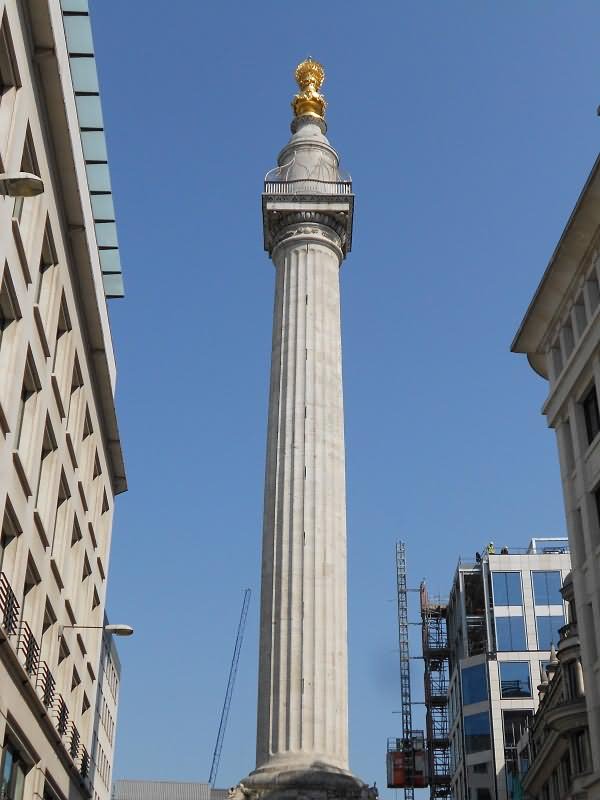 Front View Of The Great Fire of London Monument