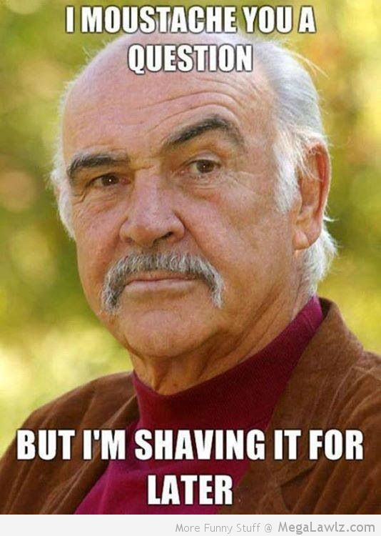 Funny Amazing Meme I Moustaches You A Question Picture