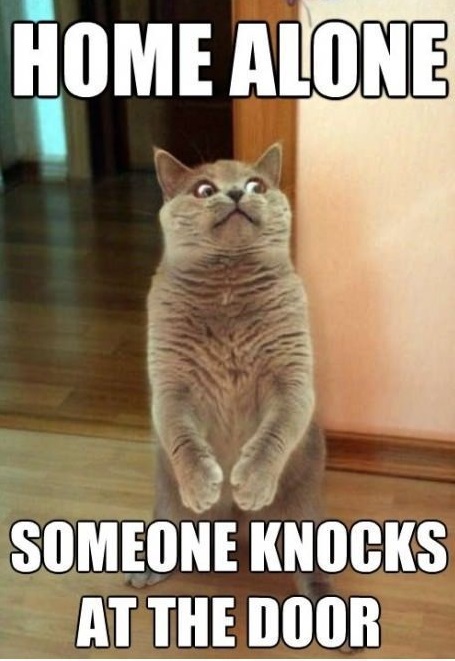 Funny Amazing Meme Someone Knocks At The Door Image