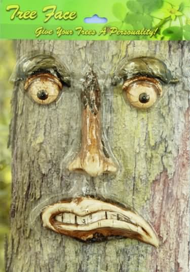 Funny Angry Tree Face Picture