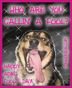 Funny Animated Happy April Fools' Day Dog Picture