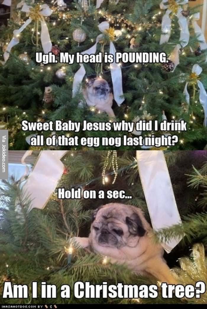 Funny Christmas Tree Meme Image