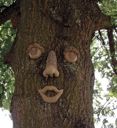 Funny Clay Tree Face Picture