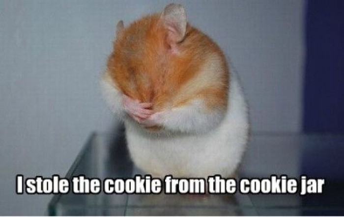 Funny Cookie Meme I Stole The Cookies From The Cookies Jar Picture For Whatsapp