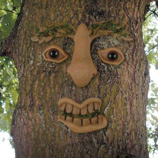 Funny Creepy Tree Face Image