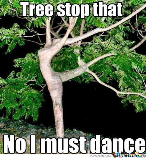 Funny Dancing Tree Meme Picture