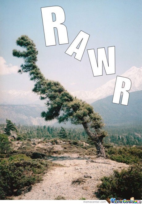Funny Dinosaur Shape Tree Photo For Facebook
