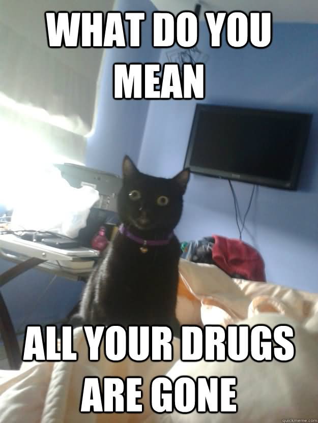 Funny Drugs Meme What Do You Mean All Your Drugs Are Gone Picture