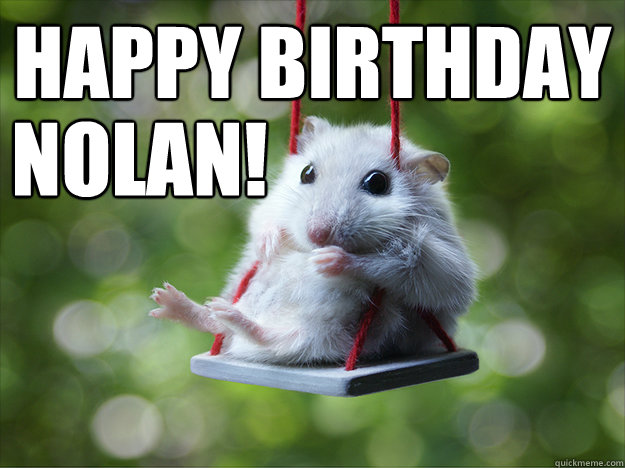 Funny Hamster Meme Happy Birthday Nolan Image
