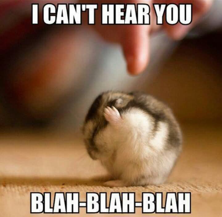 Funny Hamster Meme I Can't Hear You Blah-Blah-Blah Photo