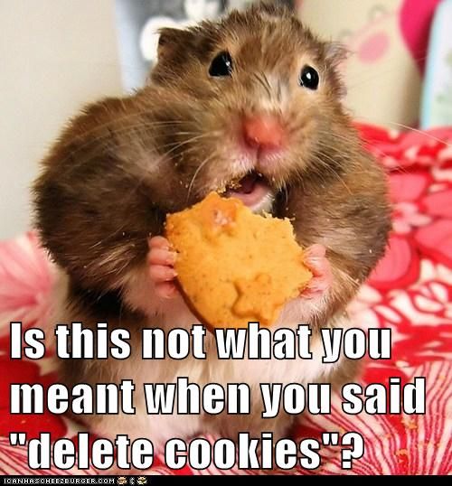 Funny Hamster Meme Is This Not What You Meant When You Said Delete Cookies Picture