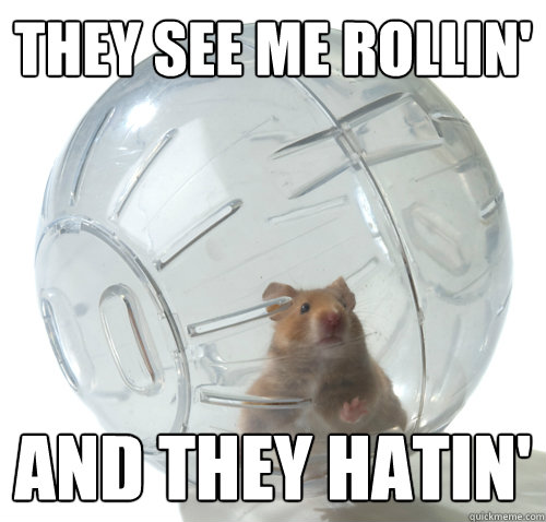 Funny Hamster Meme They See Me Rollin Andy They Hatin Photo