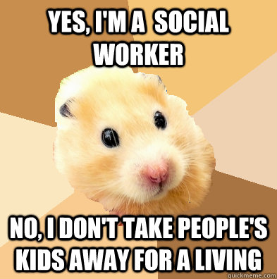 Funny Hamster Meme Yes I Am Social Worker No I Don't Take People's Kids Away For A Living Image