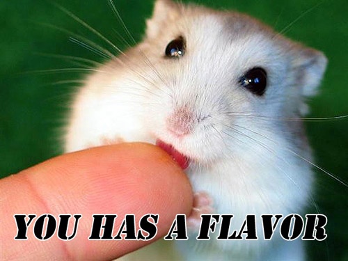 Funny Hamster Meme You Was A Flower Image