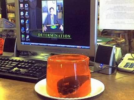 Funny Office Prank Computer Mouse In Jelly Image